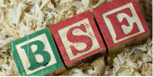 What is BSE Bombay Stock Exchange