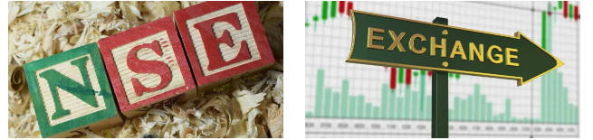 What is NSE National Stock Exchange